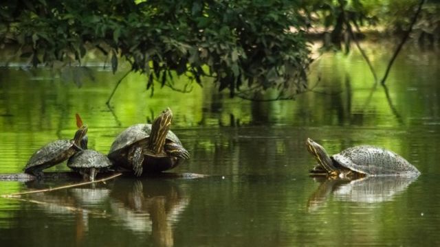 Best Places to Visit in Costa Rica in September