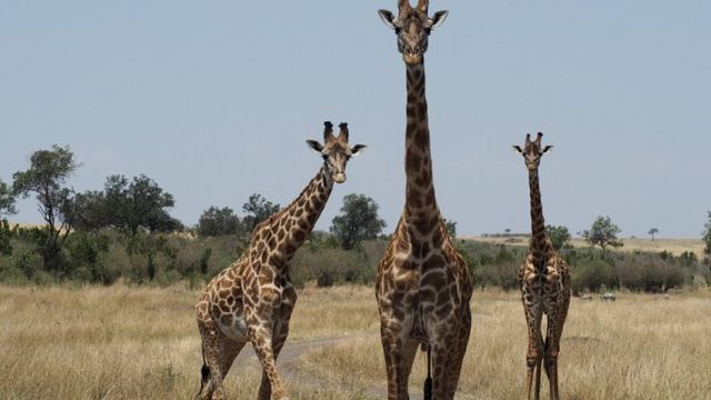 Best Places to Visit in East Africa (3)