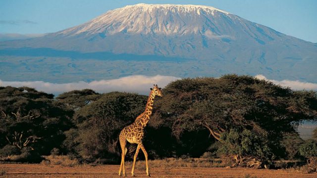 Best Places to Visit in East Africa (7)