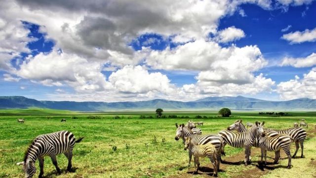 Best Places to Visit in East Africa (8)