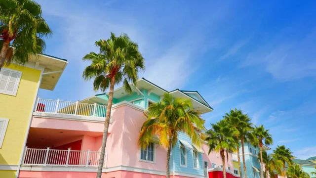 Best Places to Visit in Florida in August