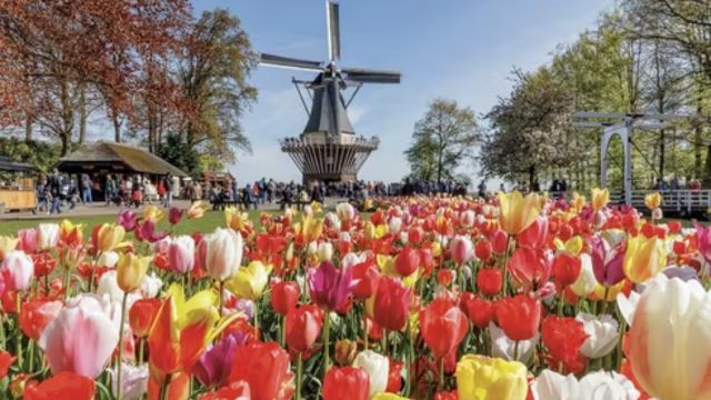 Best Places to Visit in Holland (2)
