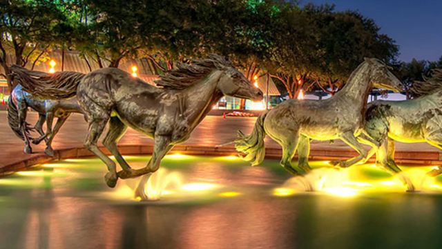 Best Places to Visit in Irving, TX