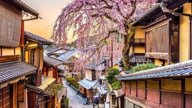 Best Places to Visit in Japan for First Timers (3)
