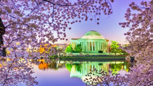 Best Places to Visit in Late March - in America (1)