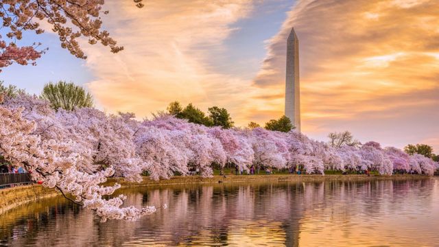 Best Places to Visit in Late March - in America (2)