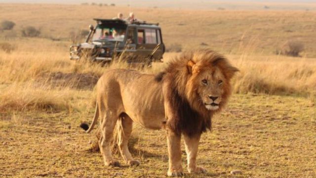 Best Places to Visit in Masai Mara