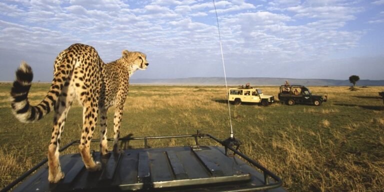 Best Places to Visit in Masai Mara
