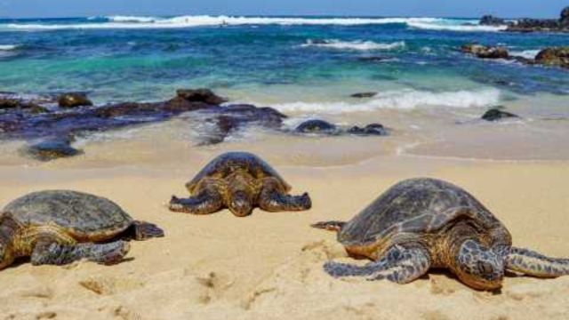 Best Places to Visit in Maui, Hawaii (10)