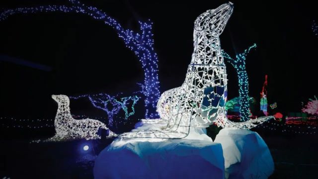 Best Places to Visit in Michigan in December