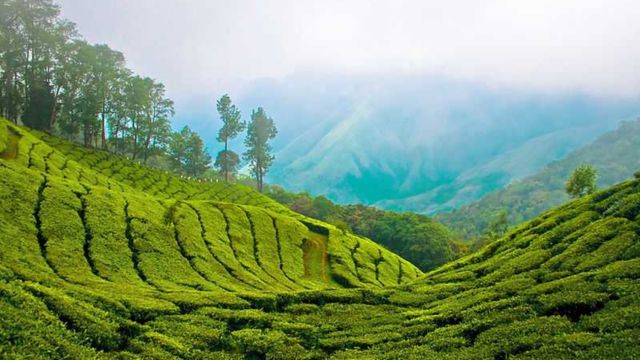Best Places to Visit in Summer in India (6)