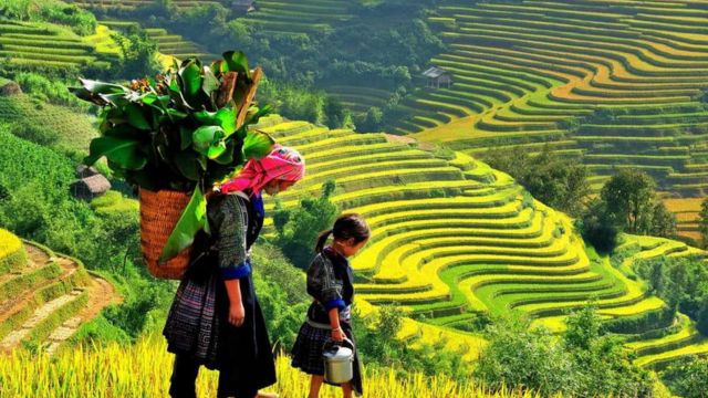 Best Places to Visit in Vietnam in November