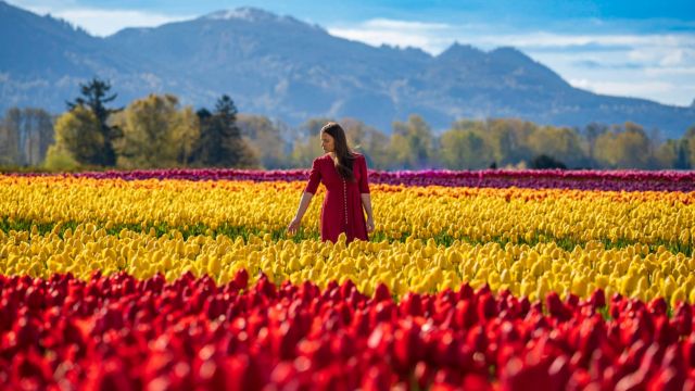 Best Places to Visit in Washington State in Spring (4)