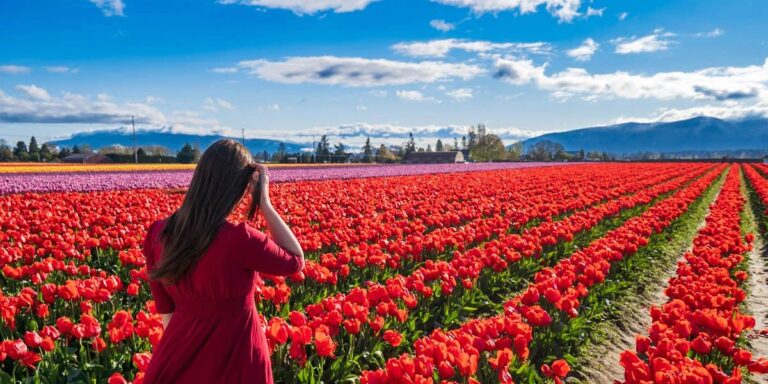 Best Places to Visit in Washington State in Spring