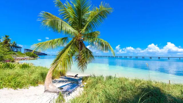 Best Tropical Places to Visit in July - in America (2)