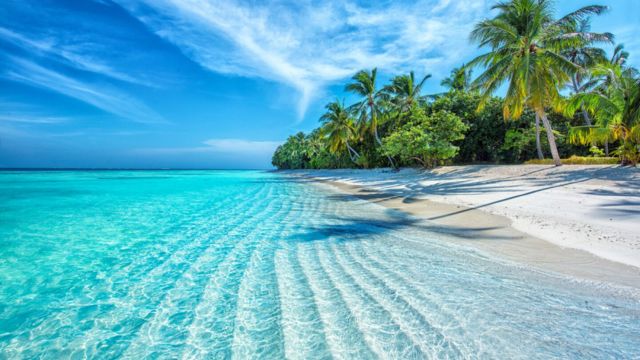 Best Tropical Places to Visit in June - in America (1)