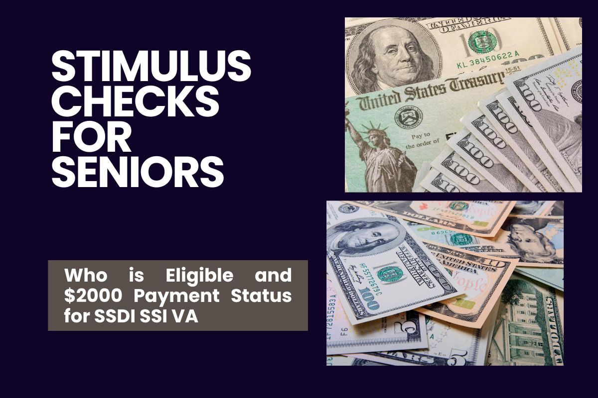 Stimulus Checks for Seniors Government Unveils 2,000 Stimulus Game