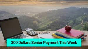 One Time $300 Payment for Seniors
